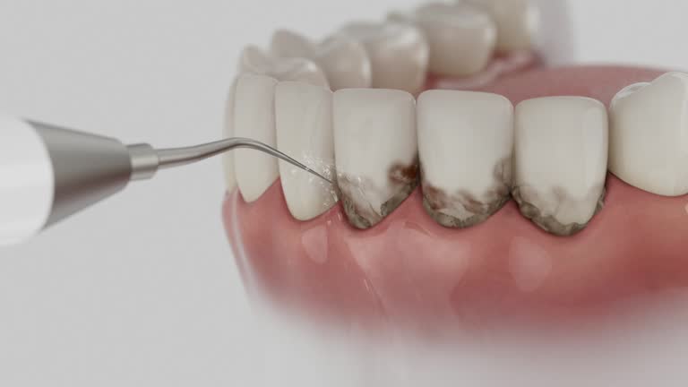 Reliable Dental contractor in East Helena, MT by Dentist Open Now